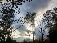 /album/fotogaleria/sarita-yanez-3-jpg/